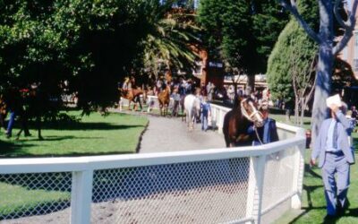 Caulfield’s Racecourse – an exhibition 3-27 October